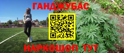 сатива Гусиноозёрск