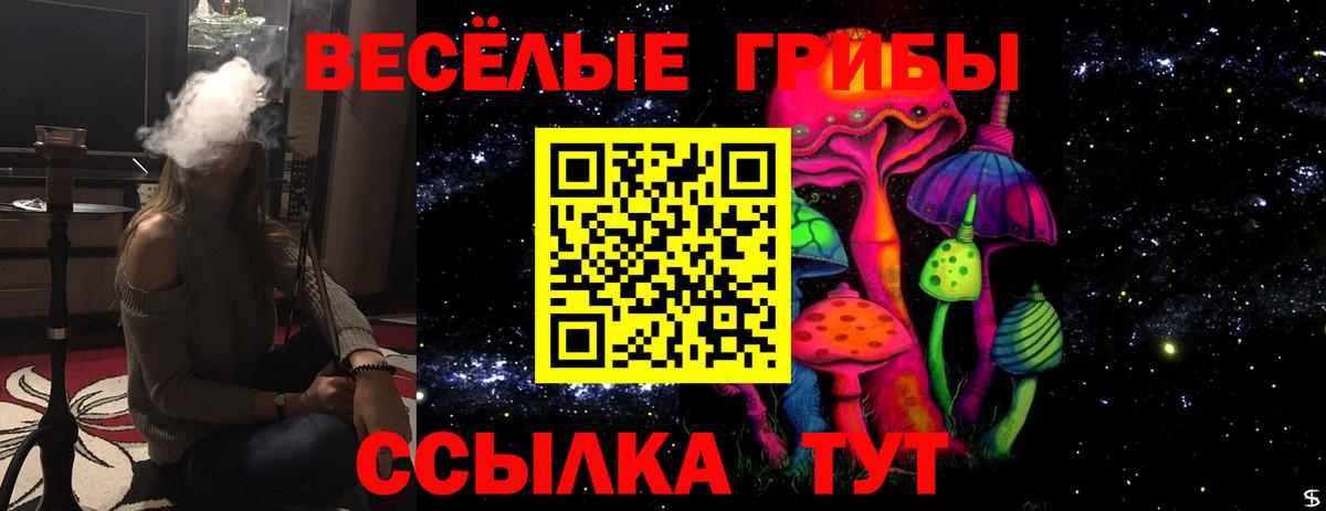 Галлюциногенные грибы Magic Shrooms Владикавказ